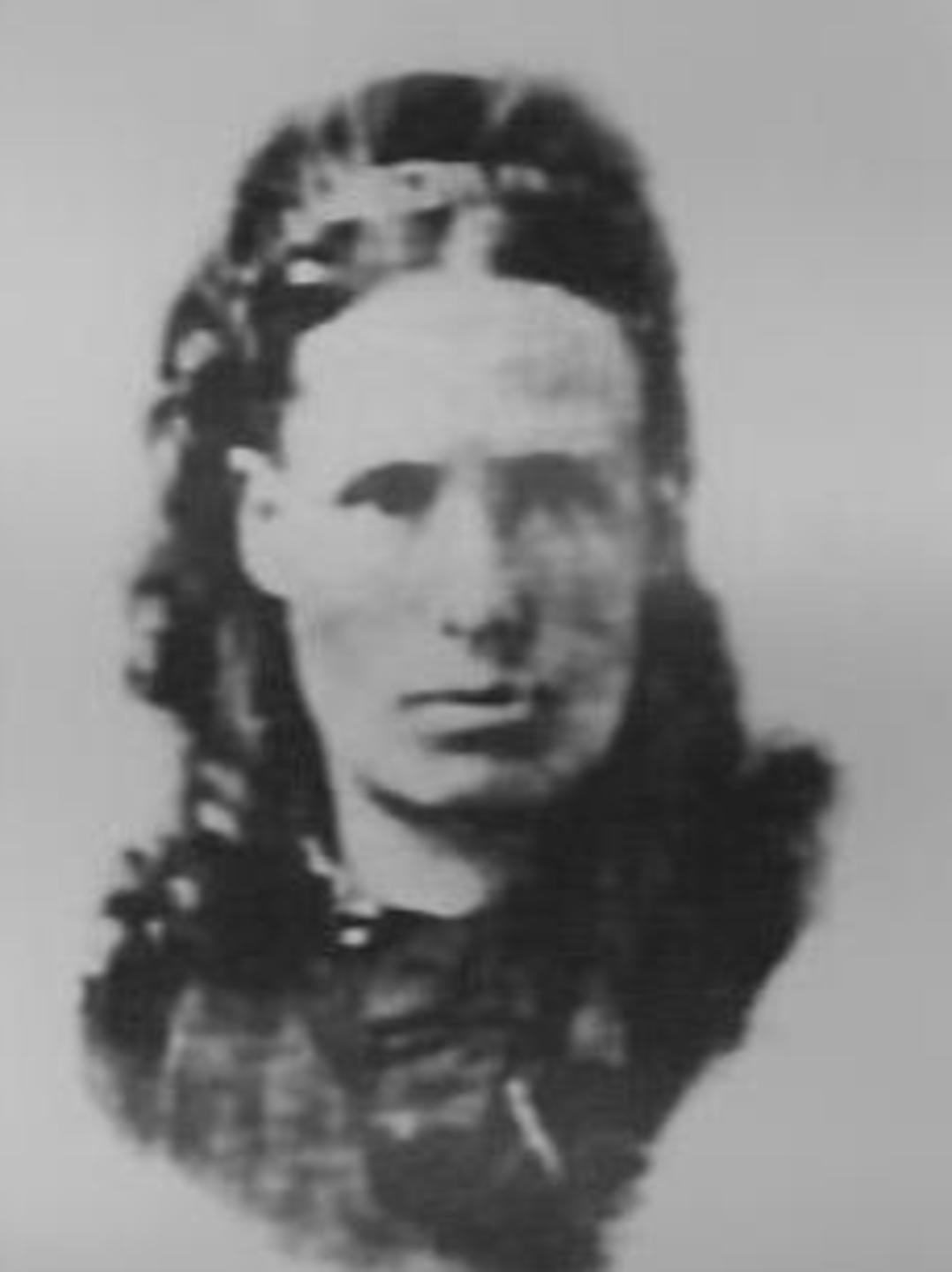 Amelia Ann Batchelor (1850 - 1919) Profile